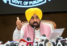 Punjab has become a major hub for industry and investment, government claims.