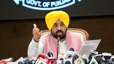 Punjab has become a major hub for industry and investment, government claims.