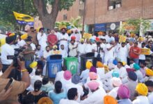 AAP supports the 'Cockroach Janata Party' protest in Chandigarh.