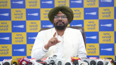 From Daler Mehndi to Bhagwant Mann, Dhaliwal lashes out at the BJP