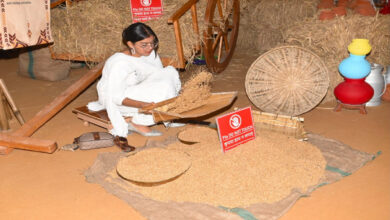 Punjab’s heritage to be showcased through ‘Saada Pind’ at Burlton Park